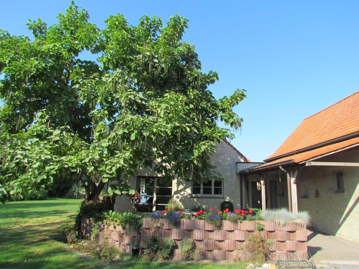 Villa Terre De Lumiere Maldegem Exterior foto